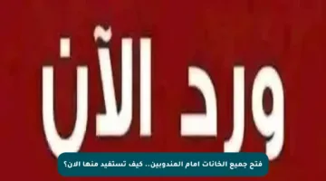 فتح جميع الخانات أمام المندوبين.. كيف تستفيد منها الآن؟